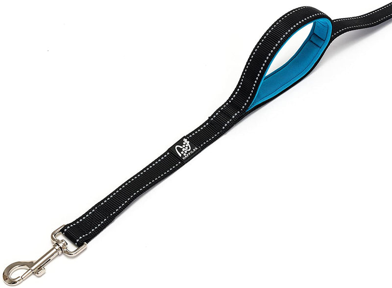 Kleine with 2 padded hand loops reflective dog leash