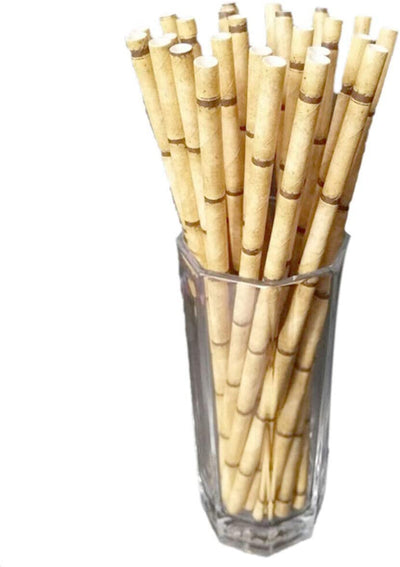 Kicko Bamboo Paper Straws - Pack of 24-7.75 Inch Biodegradable Drinking Straws - Eco