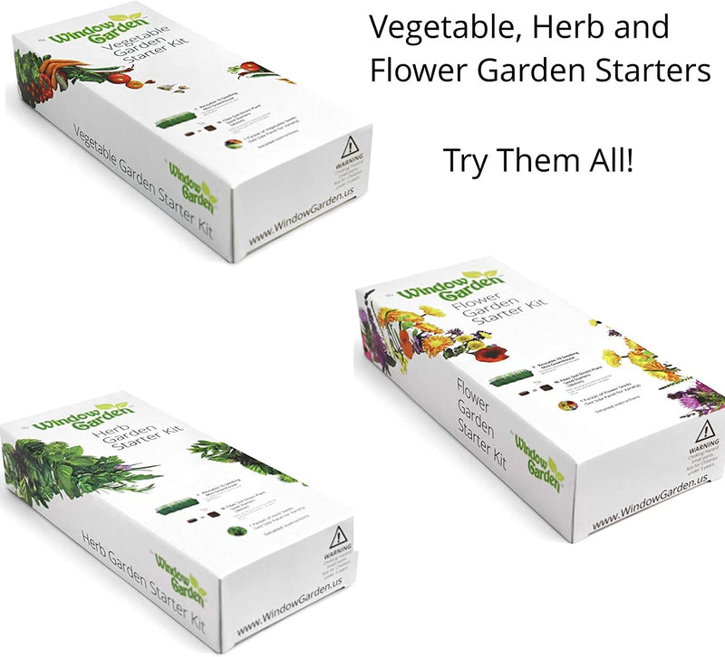 Window Garden - Basil Herb Kit - Grow Your Own Food. Germinate Seeds on Your Windowsill