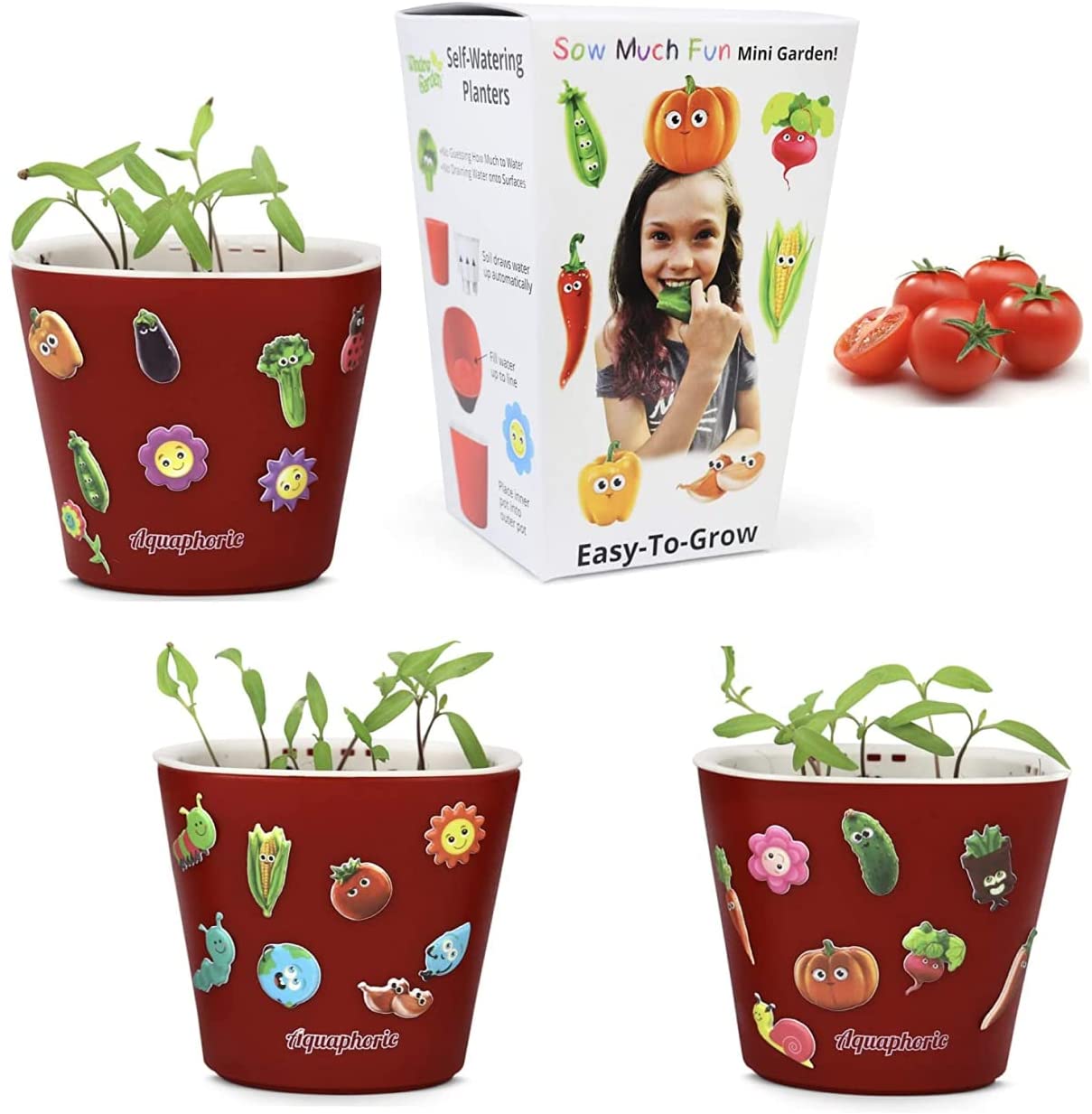 Window Garden Sow Much Fun Seed Starting, Vegetable Planting and Growing Kit for Kids, 3
