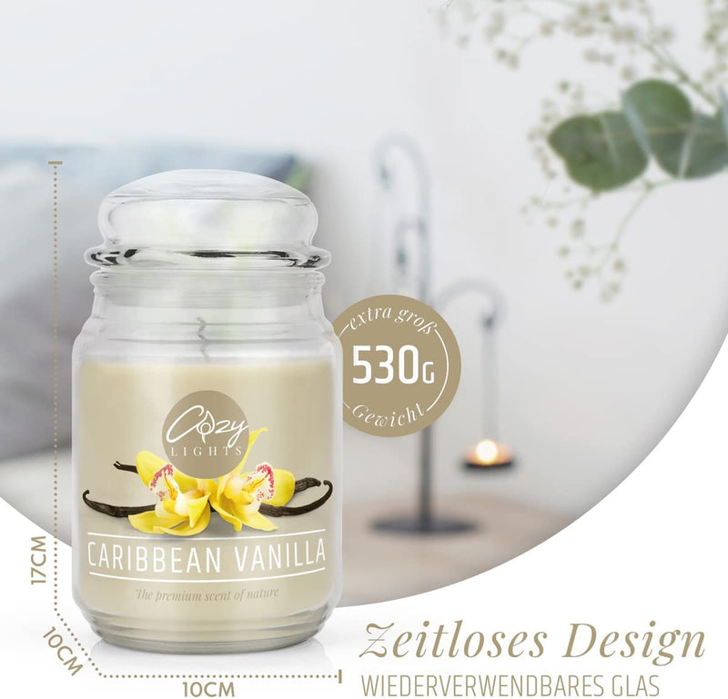 Cozy lights large fragrance candle Strawberry Fields 625ml up to 140 hours of burning time