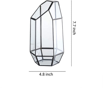 Glass Geometric Terrarium Container 5.3X9.6 inch and 4.8X7.7 inch Tabletop