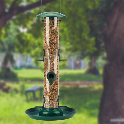 I grains of feed column with XL feeding plate green feed shell for birds for