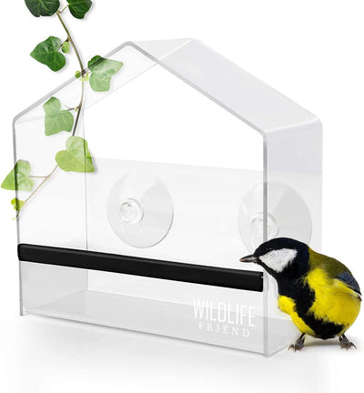 Window feeder for birds i transparent with suction cups i bird house
