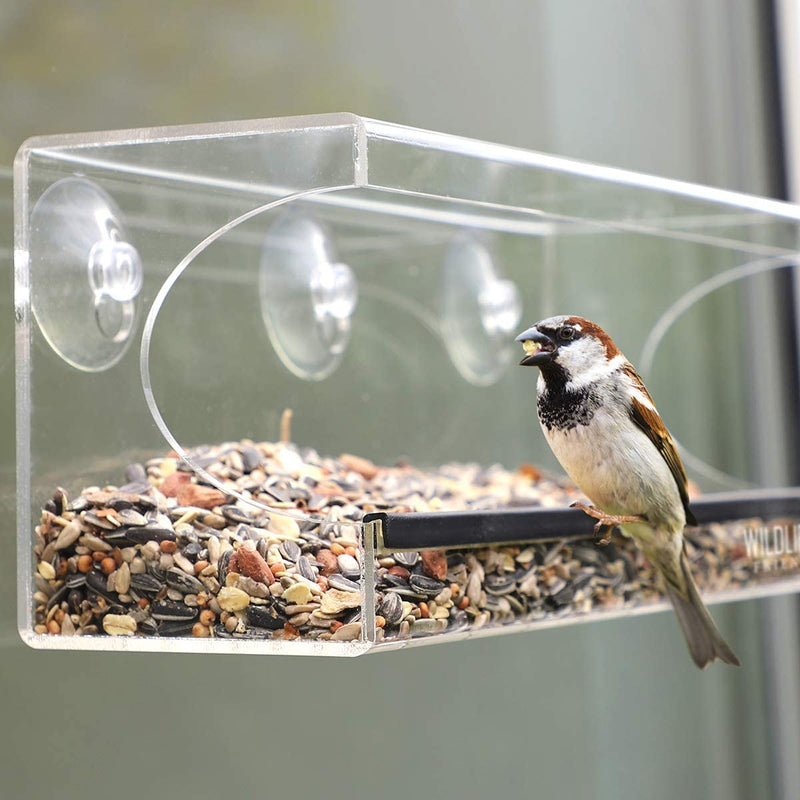 I window forage house for birds I transparent 30cm length i bird house window