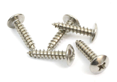 12 X 2" Stainless Truss Head Phillips Wood Screw (25pc) 18-8 (304) Stainless Steel Screws