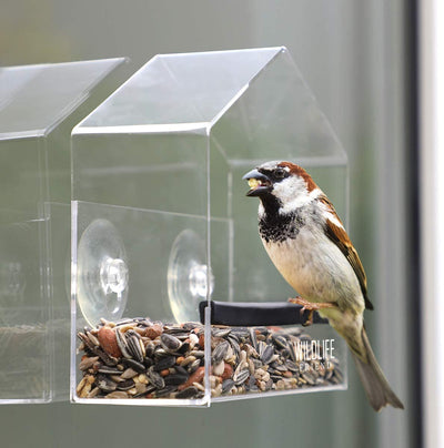 Window feeder for birds i transparent with suction cups i bird house