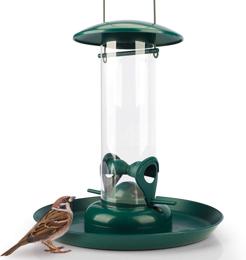 I grains of feed column with XL feeding plate green feed shell for birds for