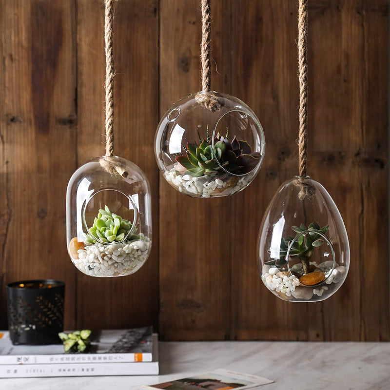 Set of 3 Large Glass Hanging Terrarium Container with 28" Rope for Succulent & Air