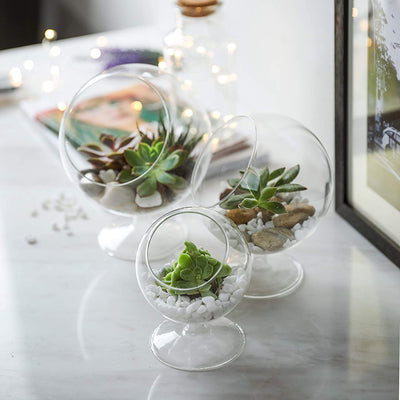 Glass Terrarium Container Tabletop for Succulent & Air Plant Set of 3 Different