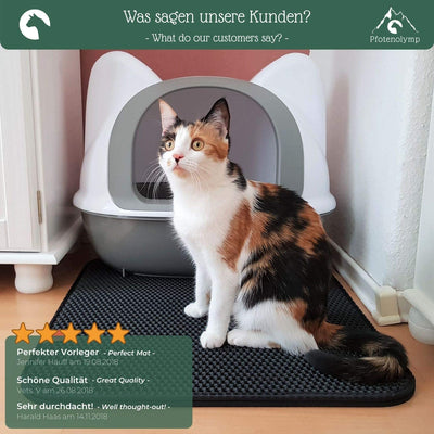 Cat litter matte large litter box mat as a catger for a cat toilet