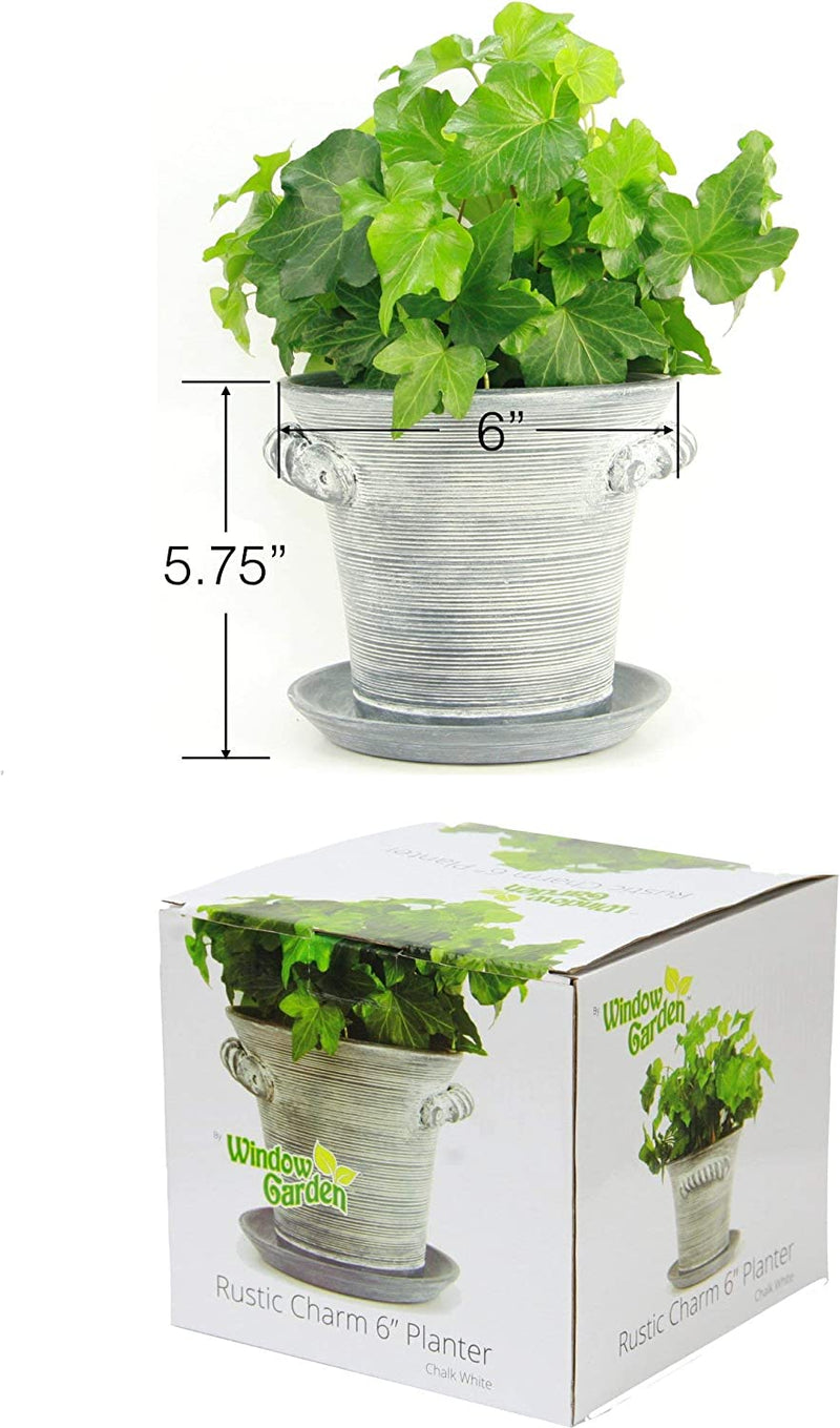 Window Garden Rustic Charm 6 Planter - Fine Home Dcor Ceramic Indoor Decorative Pot.