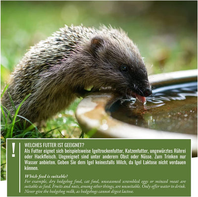 I species -appropriate hedgehog feed 1 kg of special feed for hedgehog with extra portion of protein