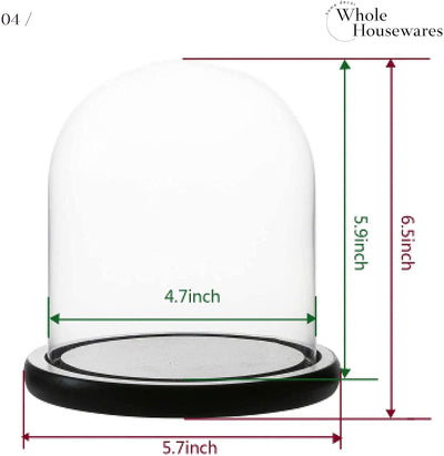 Decorative Clear Glass Dome/Tabletop Centerpiece Cloche Bell Jar Display Case with Black
