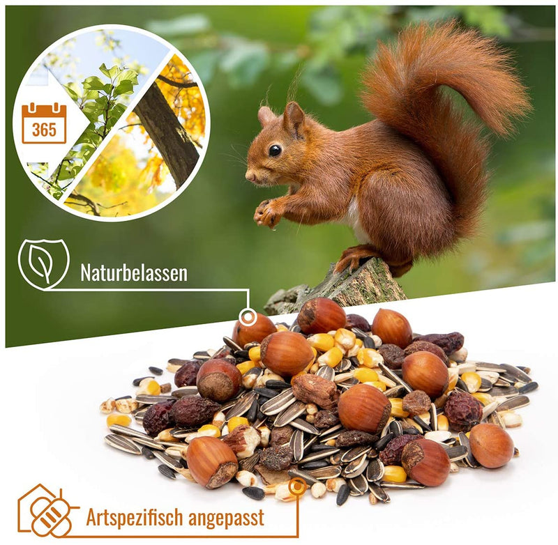 I species -appropriate squirrel food 5kg for squirrels and stripe horns