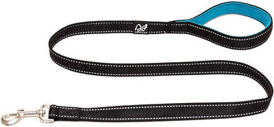 Failure leash reflecting dog leash with padded hand loop made of robust