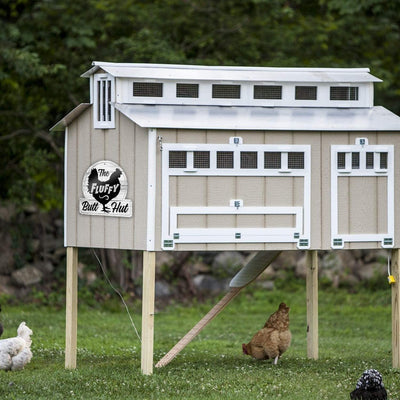 Bigtime Signs Chicken Coop Sign - The Fluffy Butt Hut - Hen House & Rooster Shelter Dibond