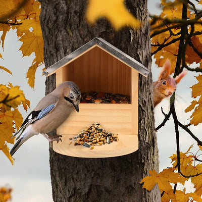 I large robust bird feeder especially for large birds such as woodpeckers