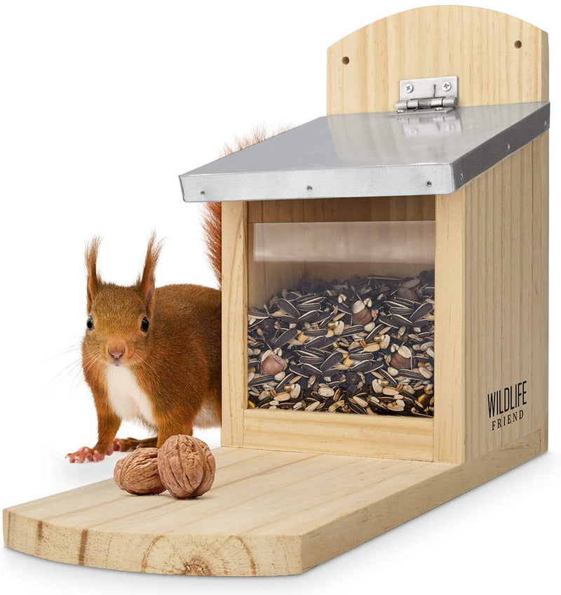 I squirrel feeder maxi extra large and stable made of solid wood