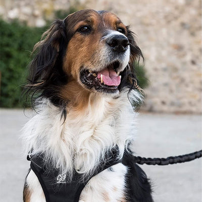 Happilax Dog Harness - No Pull Dog Harness - Adjustable Dog Harness - Reflective and Soft
