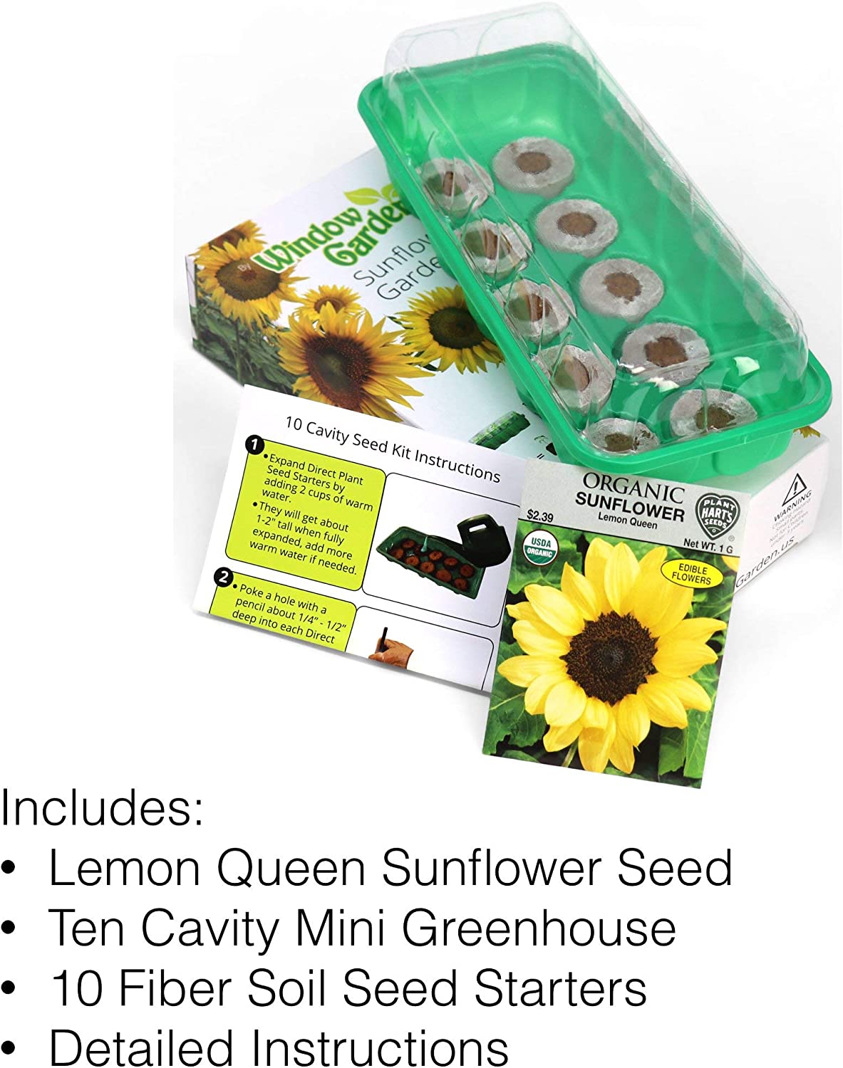 Window Garden - Lemon Queen Sunflower Flower Starter Kit - Grow Beauty. Germinate Seeds