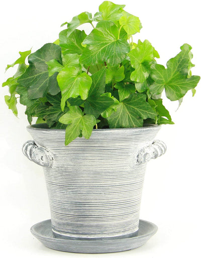 Window Garden Rustic Charm 6 Planter - Fine Home Dcor Ceramic Indoor Decorative Pot.