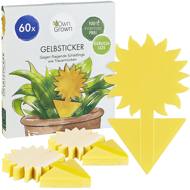 Yellow sticker mosquitoes 60x insecticide -free adhesive trap for the houseplants