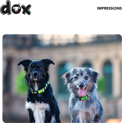 DDOXX Dog Collar Nylon, Adjustable | Many Colors & Sizes | for Small, Medium & Large Dogs