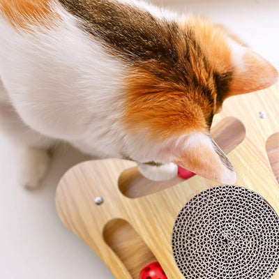Cat toys made of wood interactive and with eco -scratch board made of cardboard for cat