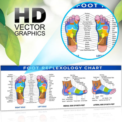Foot Reflexology Poster Vinyl Banner | 54 x 17.25 Reflexology Chart Color