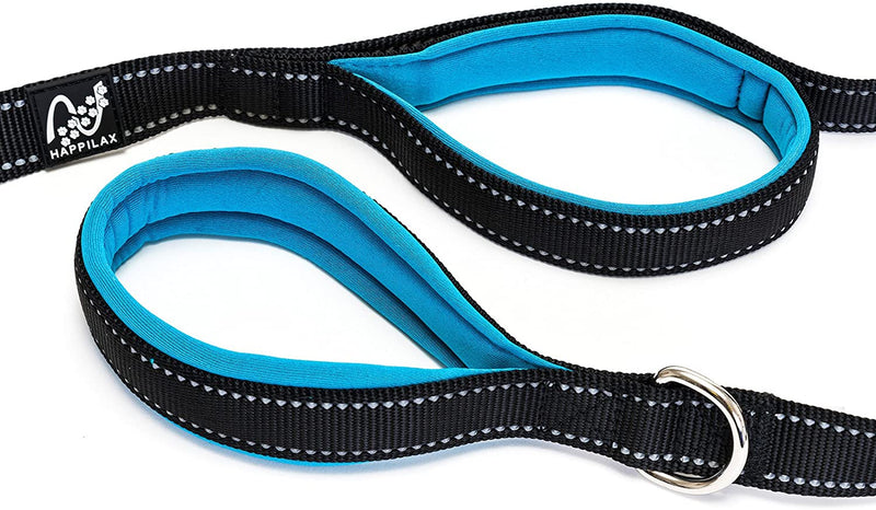 Kleine with 2 padded hand loops reflective dog leash