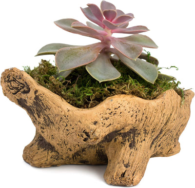 Natural Elements Log Planter (Trunk)  Realistic Woodland-Themed with Intricate