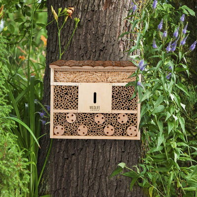 I Beehotel insect hotel with wooden roof untreated by solid wood beesen house