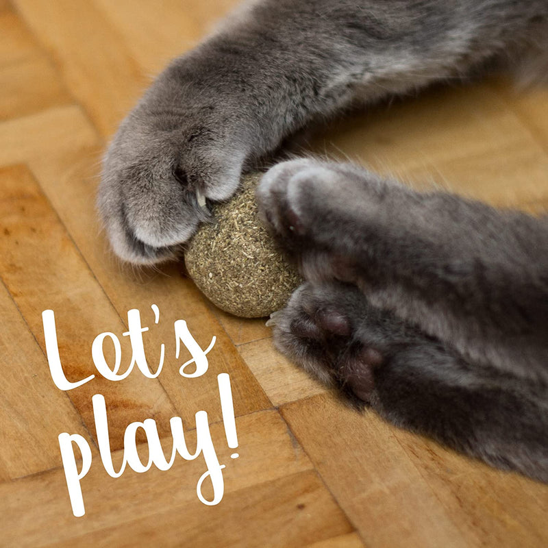 Cats mint ball to play 4x catnip toys for cats