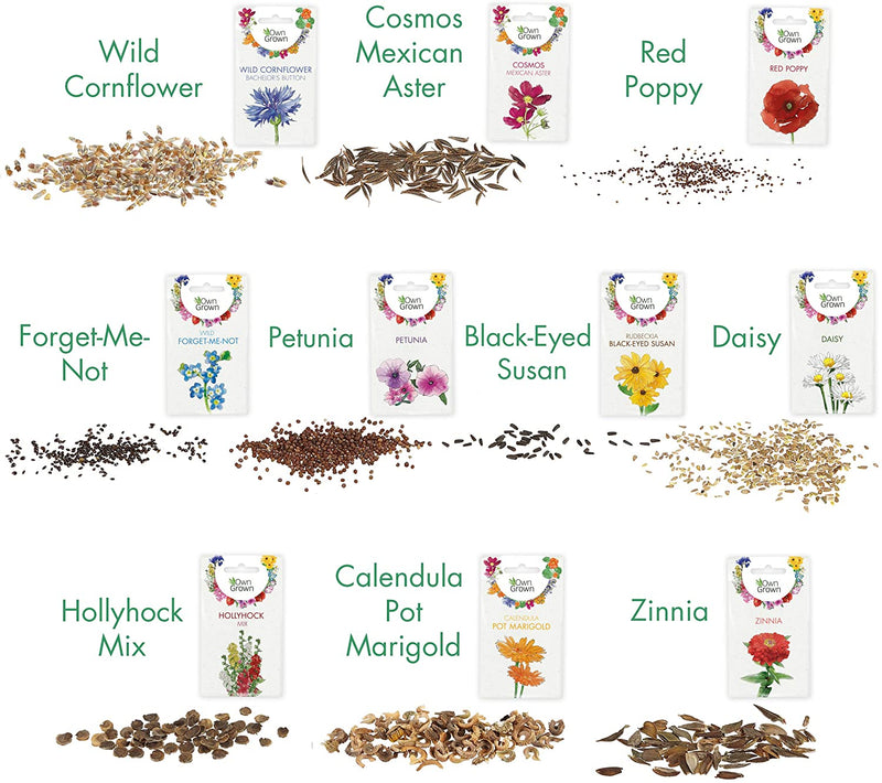 Heirloom Flower Seeds for Planting: Premium Flower Seed Starter Kit with 10 Varieties