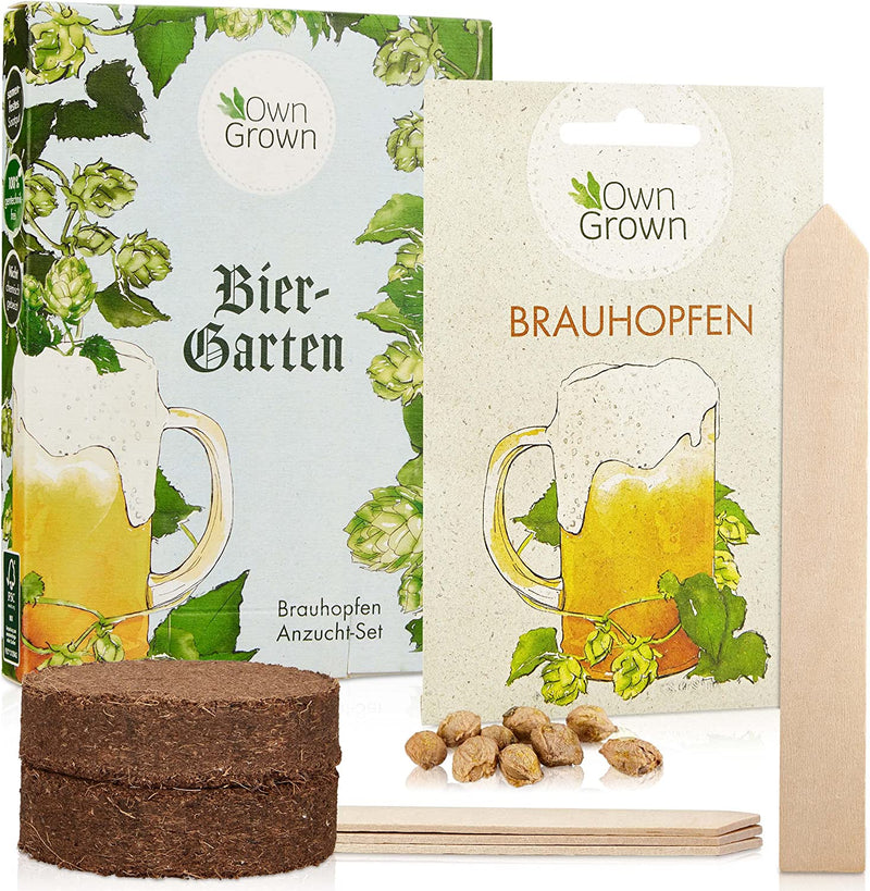 Bier gift set hop seed seed for the cultivation of 5 hops plants