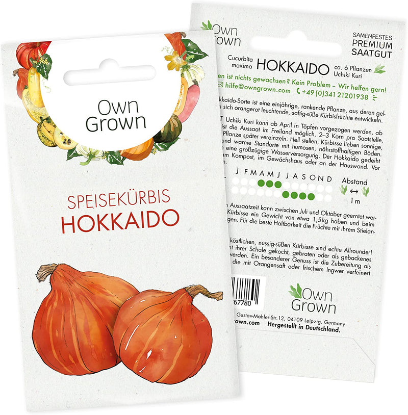 Hokkaido seed Uchiki Kuri Hokkaido pumpkin seeds for cultivating 6 pumpkin
