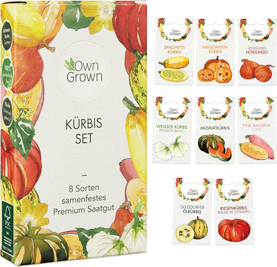 Pumpkin seed seed 8 varieties pumpkin seeds for the cultivation of pumpkin plants in