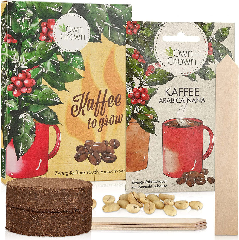 Coffee gift set coffee gift set with coffee smoke seeds for about 5 beautiful