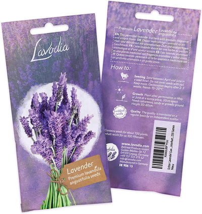 Lavender seed lavender seeds for about 100 fragrant lavender plants plants lavender