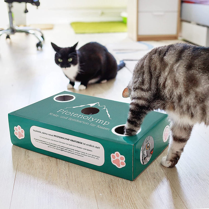 Kratzbox fiddling box with corrugated cardboard cat mint cat toys/scratching board/scratch