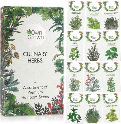 Herb Garden Seeds: > 8,000 Premium Herb Seeds, Variety Pack (12x) for Planting - Herb Set